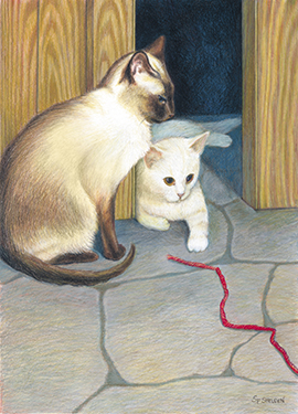 Mocha, Putka and the Red String