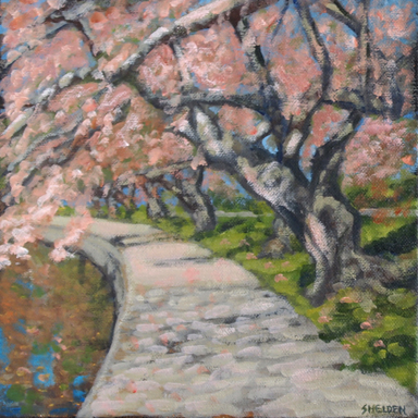 Cherry Blossom Walkway